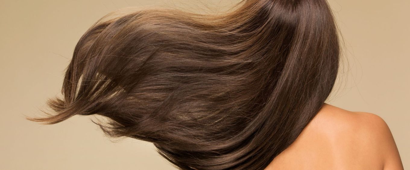 cabello seco, Éclat, Hop Repair
